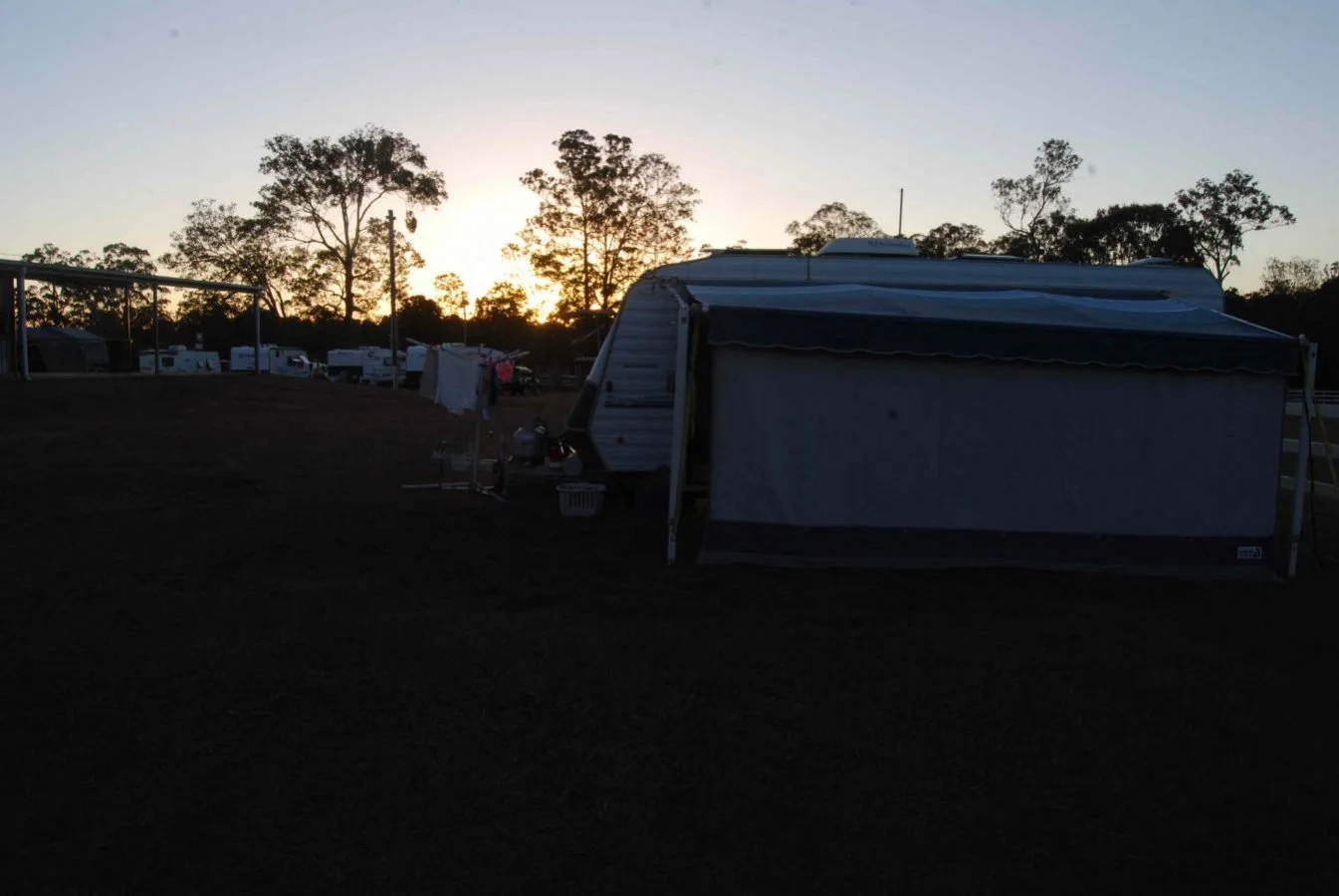 Blackbutt SG06