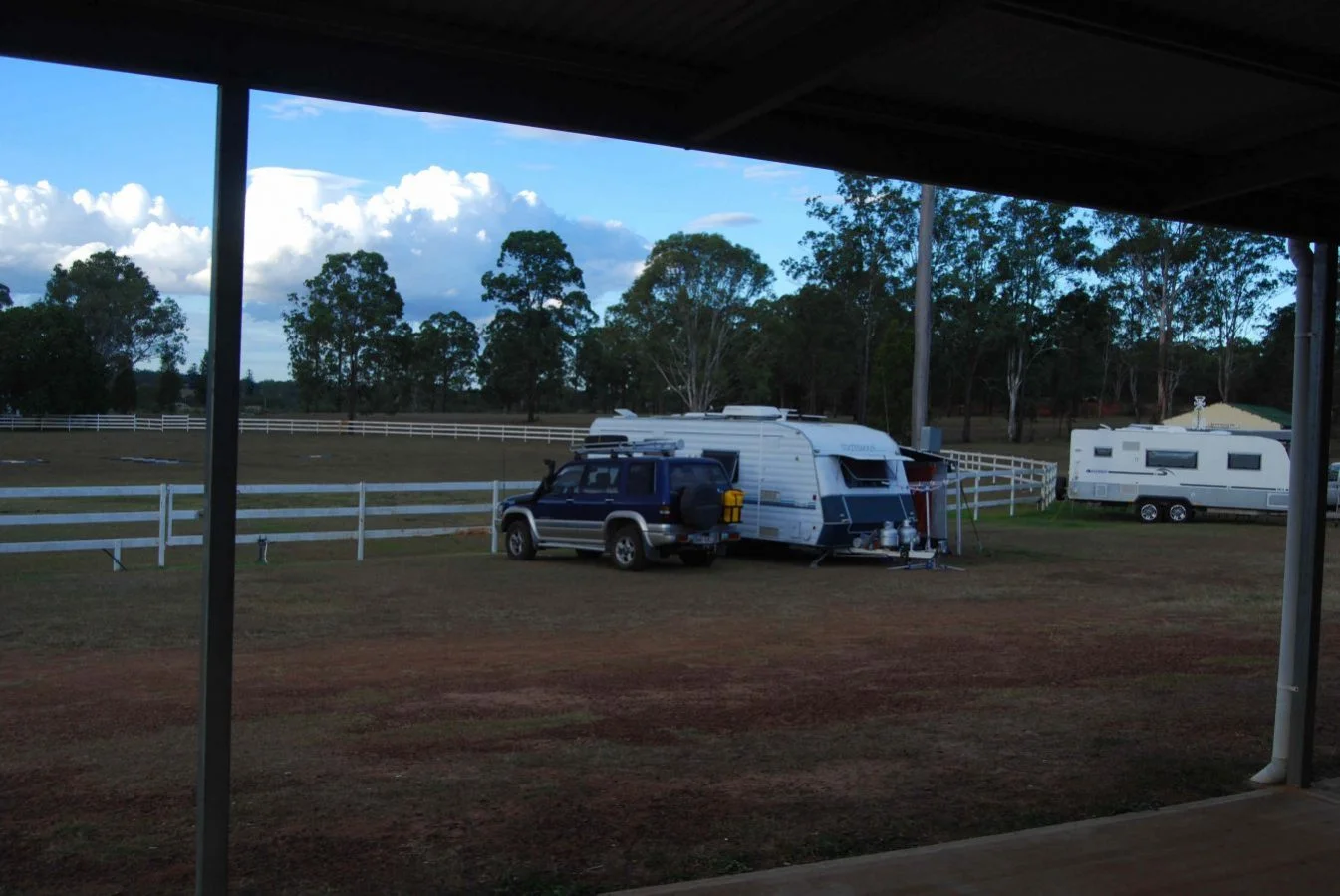 Blackbutt SG11