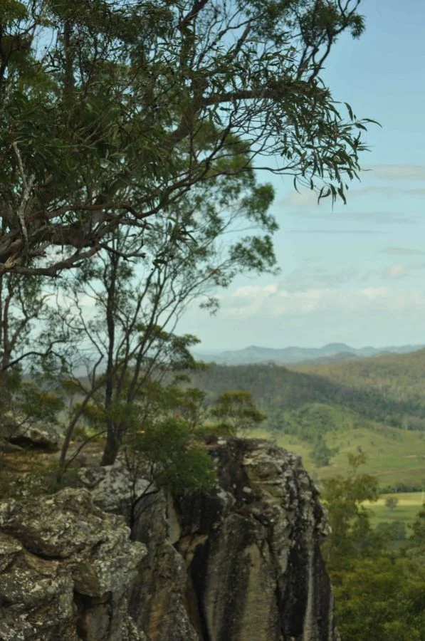 Poin Pure Lookout017 2014 05 17