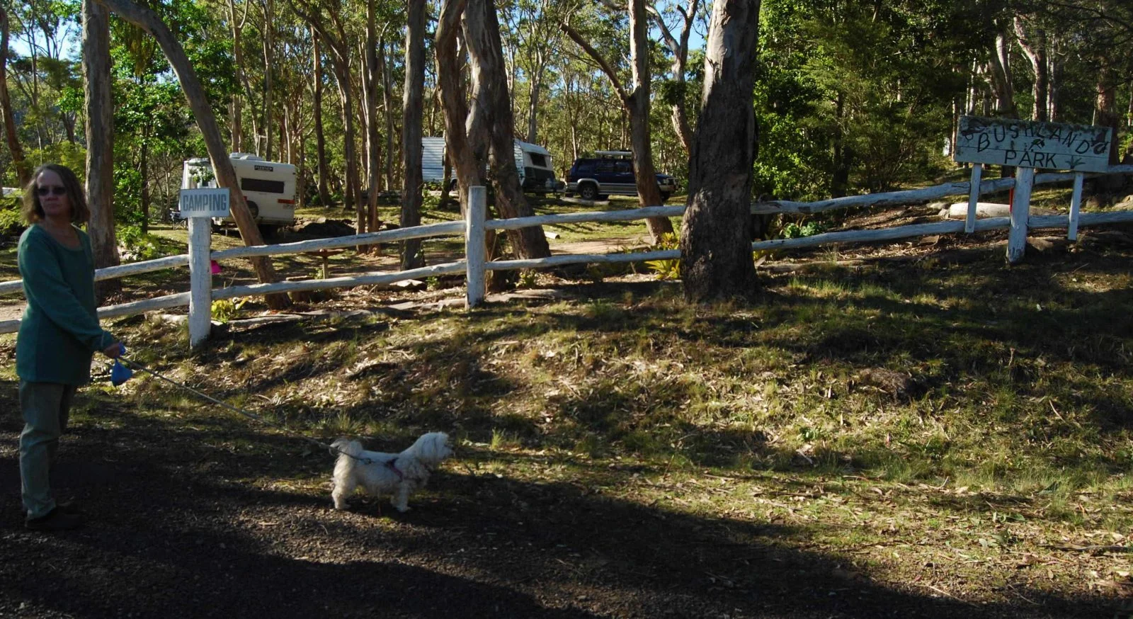 Bushland Park Bunya Mts 002 2014 07 01 22h12m02s