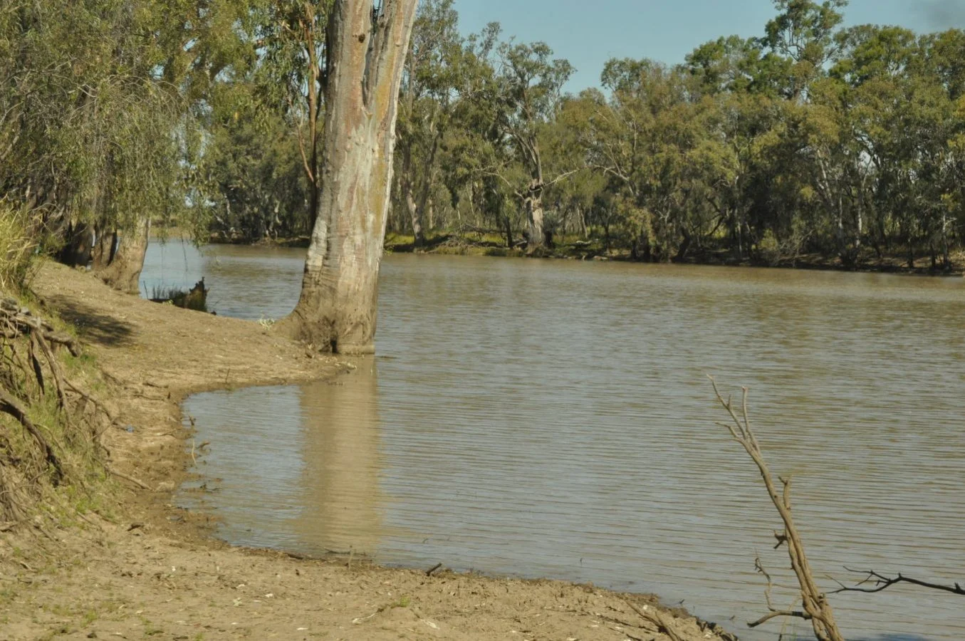 Rainbow Reserve007 DSC 2366