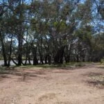 Bogan Weir Peak Hill01