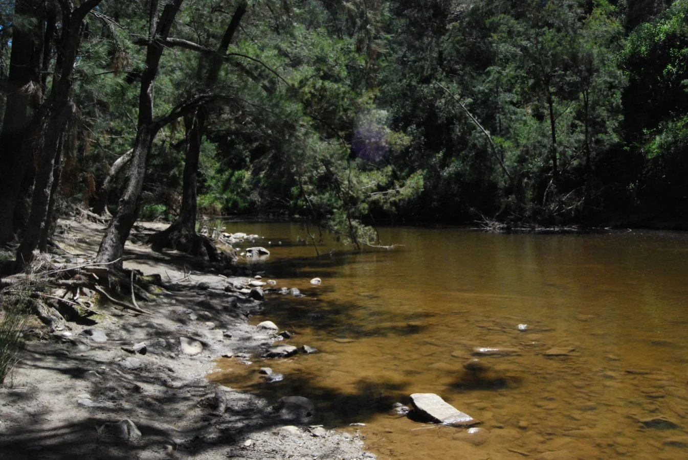 Abercrombie River21