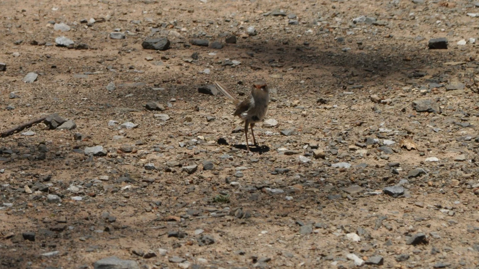 Cockburn River112