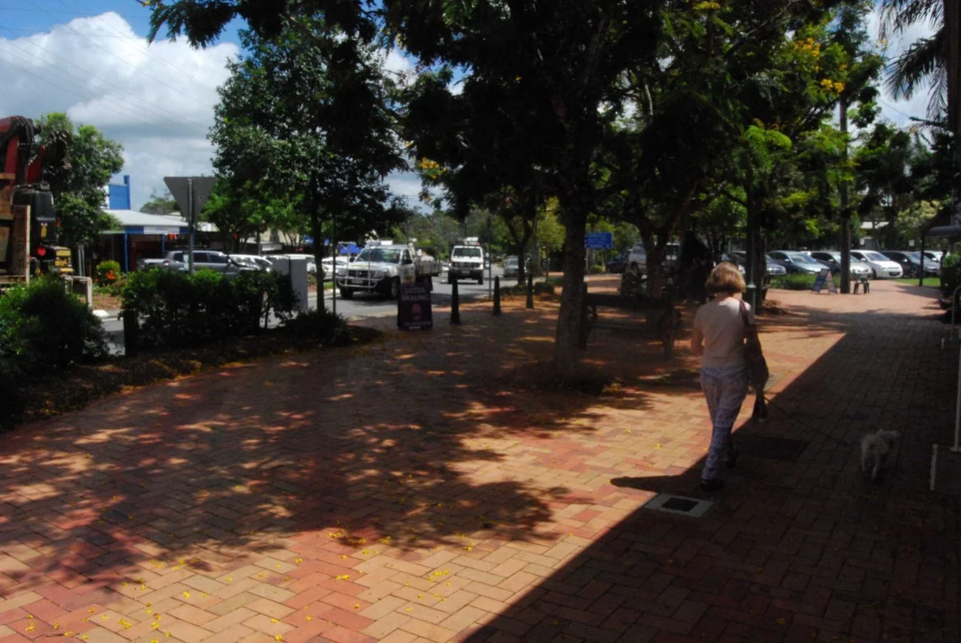 Cooroy005 2016 02 08