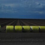 Cubbie Station013 2016 04 11