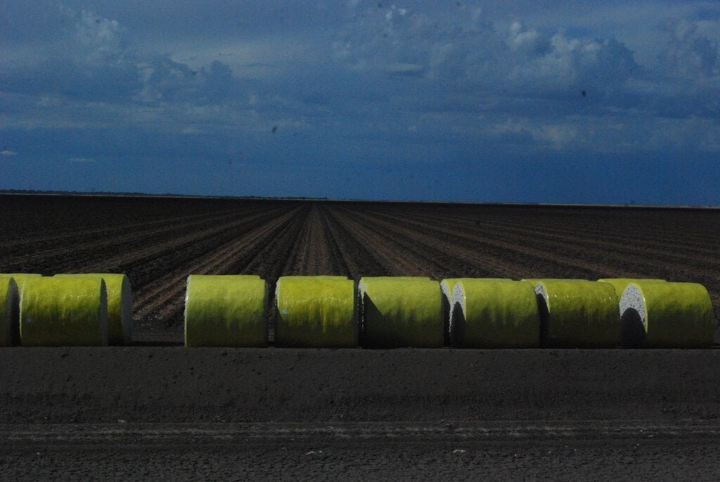 Cubbie Station013 2016 04 11