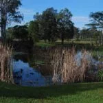 Chatsworth Rest Area Gympie006 2014 05 20