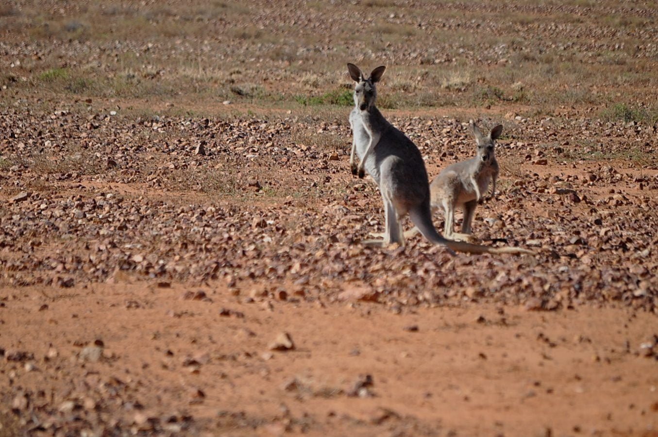 The Gorge Loop081 2017 05 23