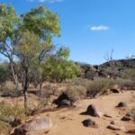 The Granites Walk002 2017 05 21