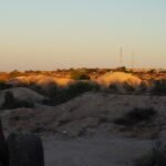 White Cliffs038 2017 05 28