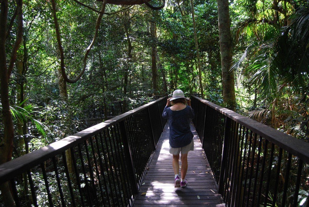 Barron Falls003 -10.02 AM29-Oct-17