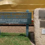 Tully006 11.23 AM04 Oct 17