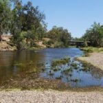 Dumaresq River Reserve005 9.52 AM31 Jan 18 1
