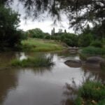 Bendemeer Campground003 8.26 AM07 Mar 18