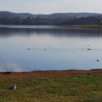 Cudgegong Waters Park021 7.49 AM14 Mar 18