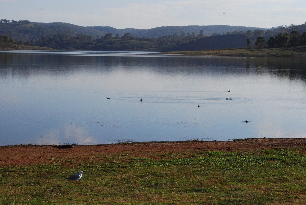 Cudgegong Waters Park021 7.49 AM14 Mar 18