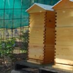 Tandara Glen Davis021 8.55 AM17 Mar 18