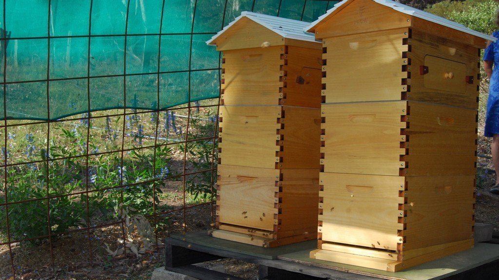 Tandara Glen Davis021 8.55 AM17 Mar 18