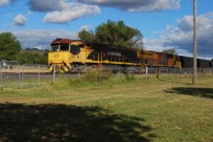 Willow Tree Freedom Camp009 4.27 PM09 Mar 18