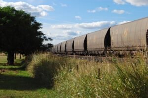 Willow Tree Freedom Camp010 4.28 PM09 Mar 18