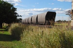 Willow Tree Freedom Camp011 4.29 PM09 Mar 18