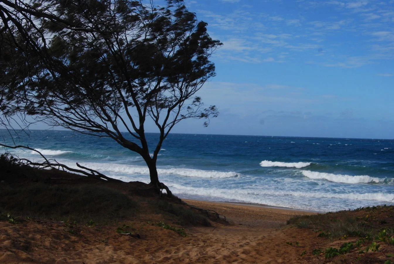 Capt. Cook Holiday Village Beach Access 003 2014 08 04