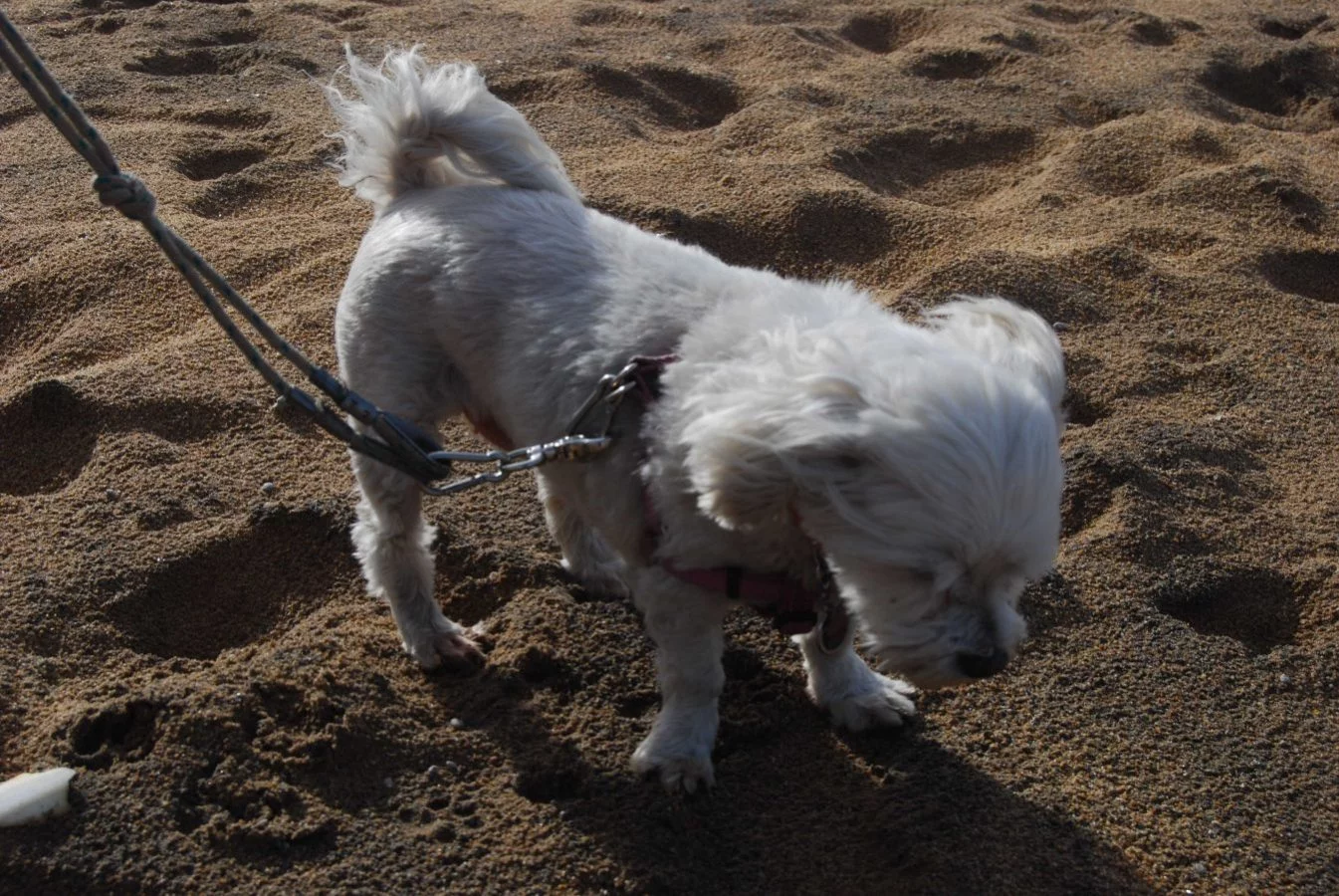 Capt. Cook Holiday Village Beach Access 011 2014 08 04