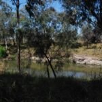 Cecil Plains Camping Reserve042 2015 10 04