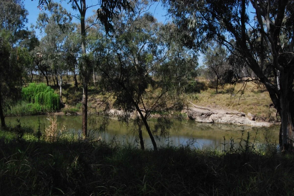 Cecil Plains Camping Reserve042 2015 10 04