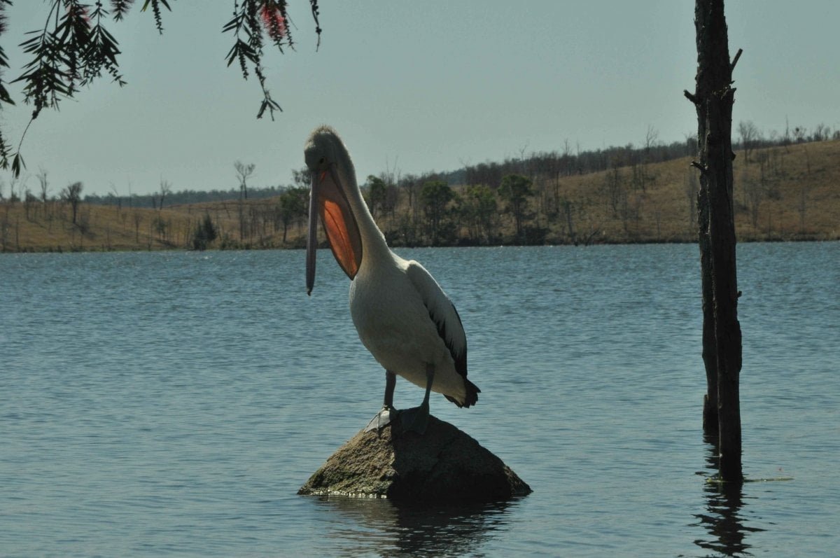 Wuruma Dam and Free Camp256 2015 09 17