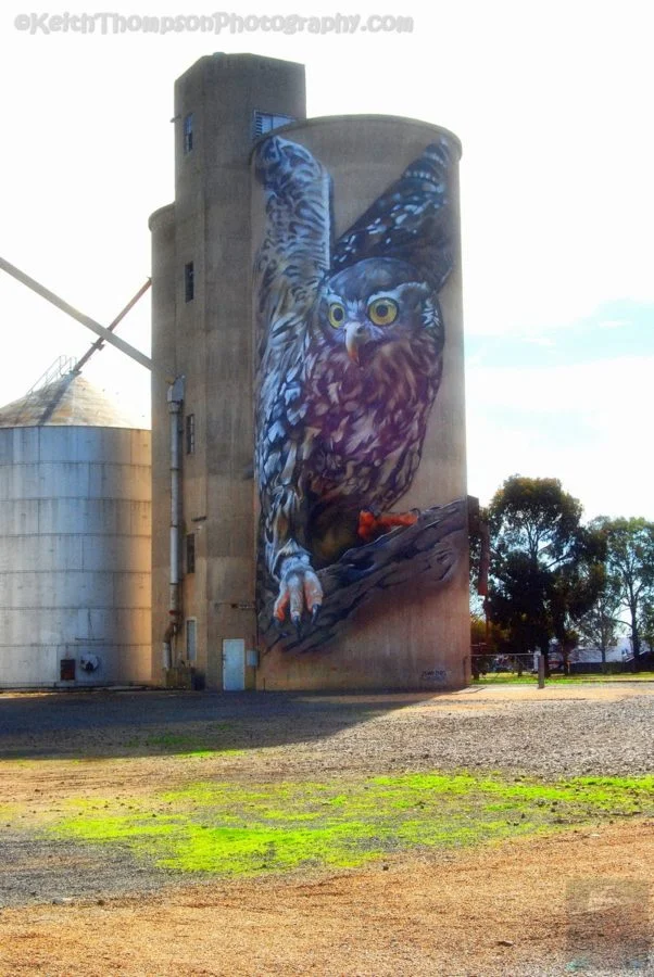 Benalla Silo Trail002CP -11.46 AM05-Aug-18