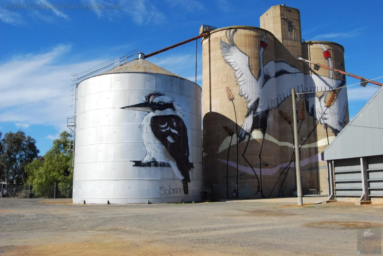 Benalla Silo Trail028 12.28 PM05 Aug 18