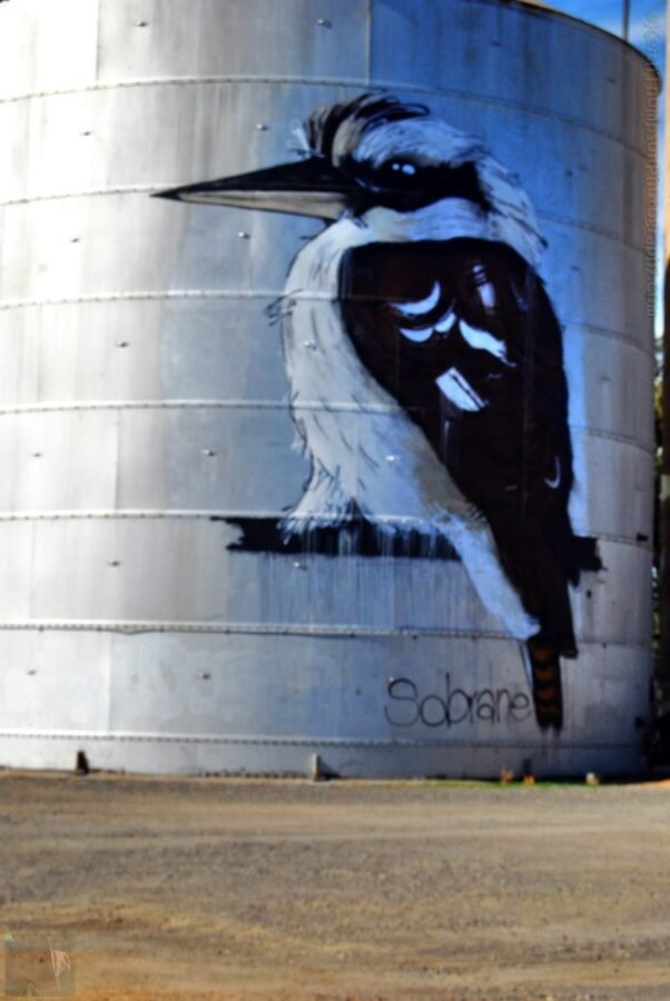 Benalla Silo Trail029 12.29 PM05 Aug 18 e1534050596935