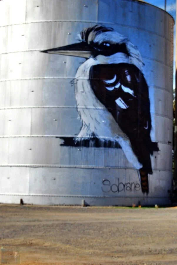 Benalla Silo Trail029 12.29 PM05 Aug 18 e1534050596935