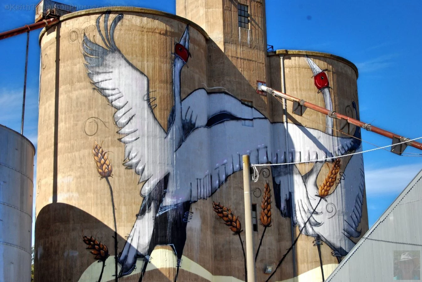 Benalla Silo Trail031 12.29 PM05 Aug 18