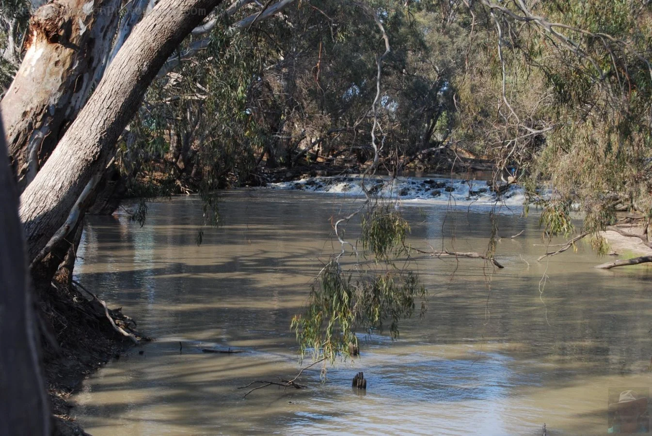 Jerilderie Weir.032 15h11m44s2018 09 10