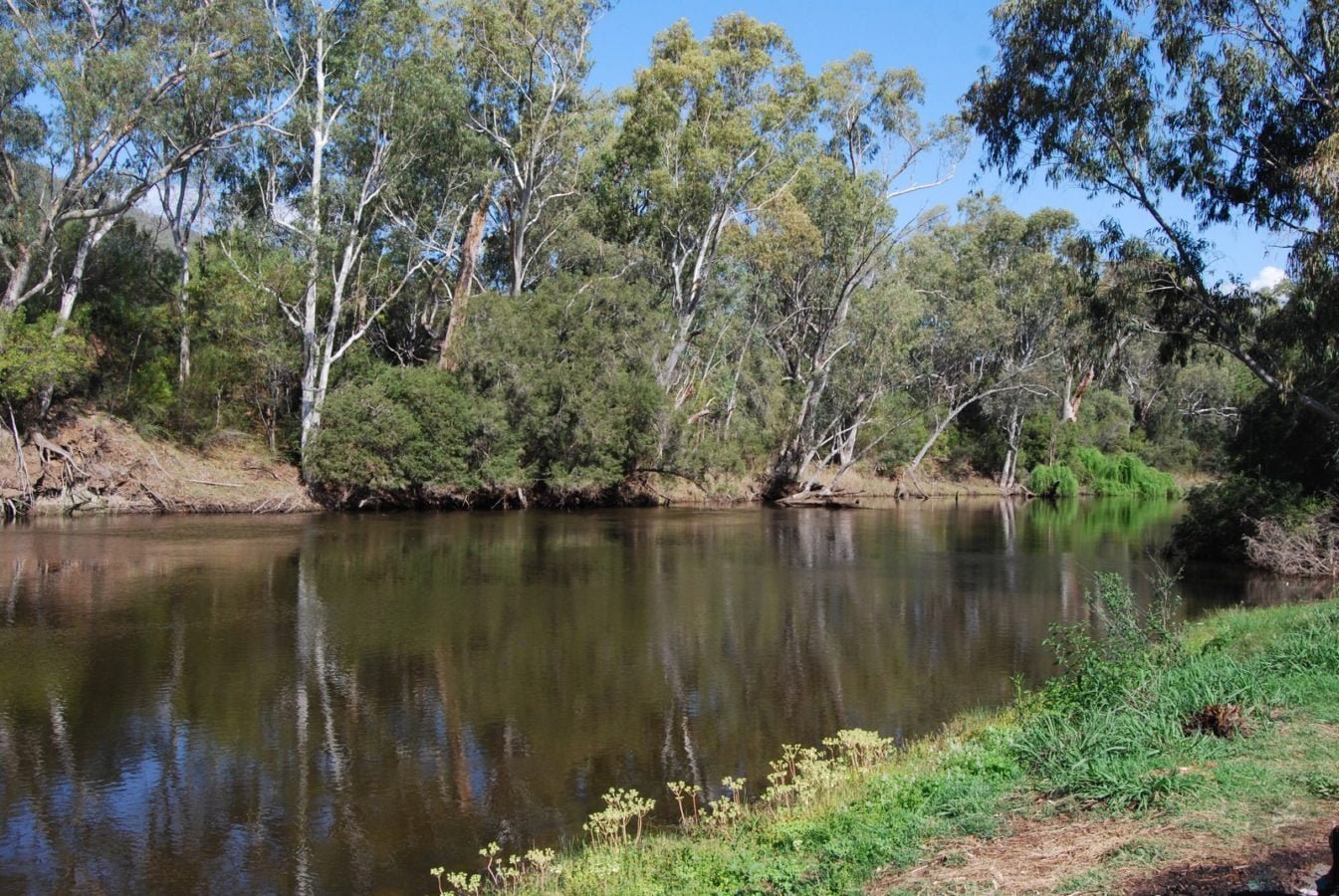 Gwydir River, Bingara – All Over Australia