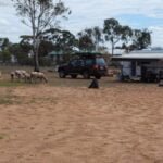 Quambone.041 11h01m52s2018 10 14