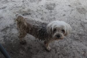 Bourke Mays Bend020 2016 04 16