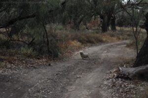 Bourke Mays Bend033 2016 04 16