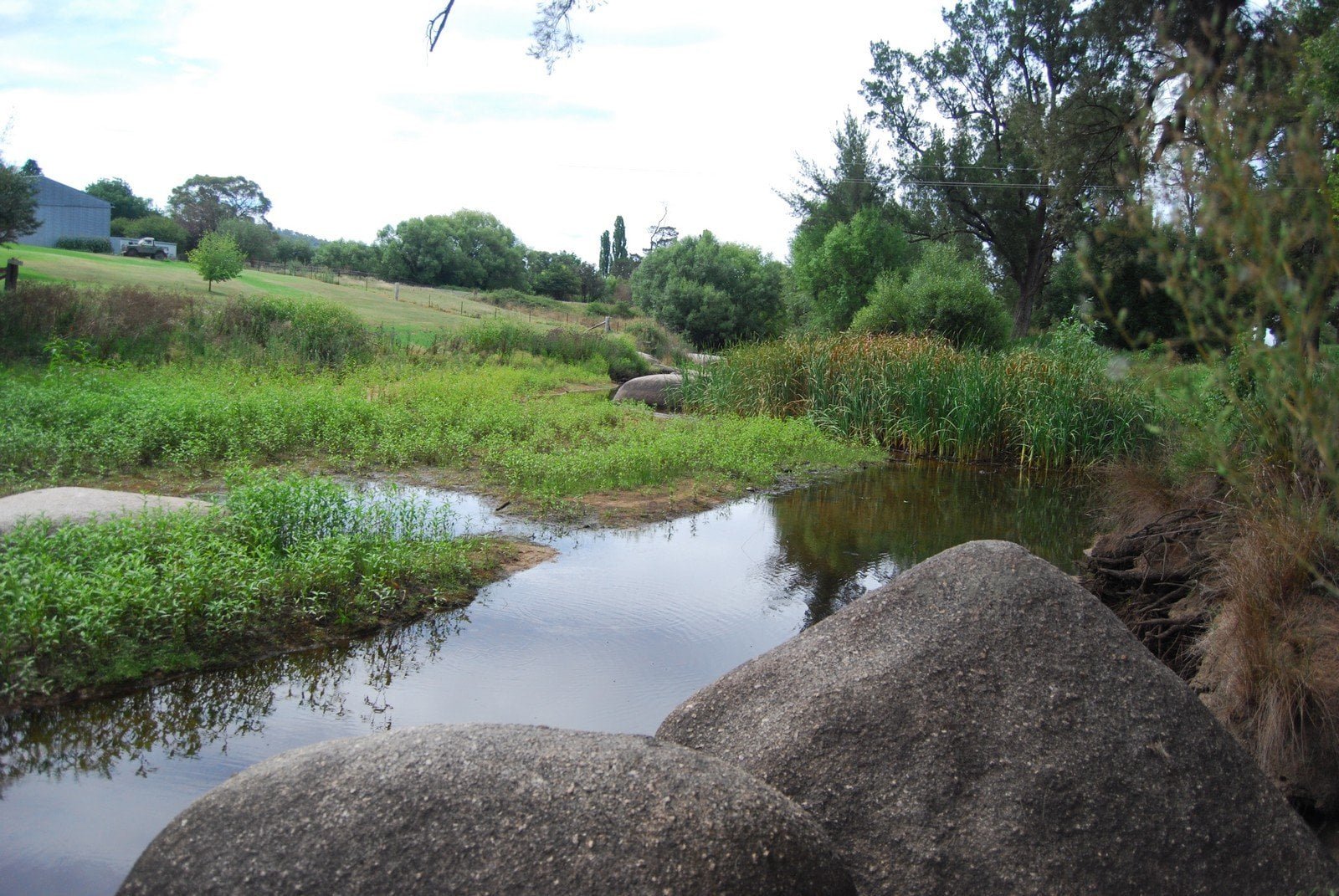 Bendemeer Rest Area.003 -14h49m33s2019-01-30