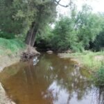 Bendemeer Rest Area.004 14h49m44s2019 01 30