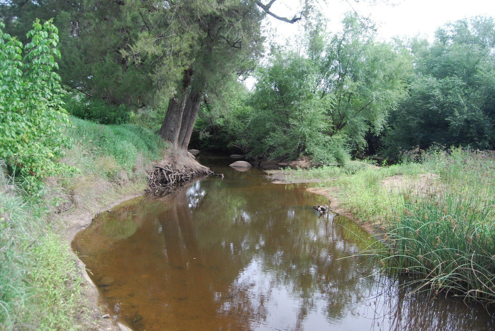 Bendemeer Rest Area.004 14h49m44s2019 01 30