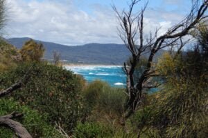 Badger Beach and West Head Lookout.001 12h18m28s2019 02 20