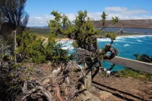 Badger Beach and West Head Lookout.009 12h23m43s2019 02 20