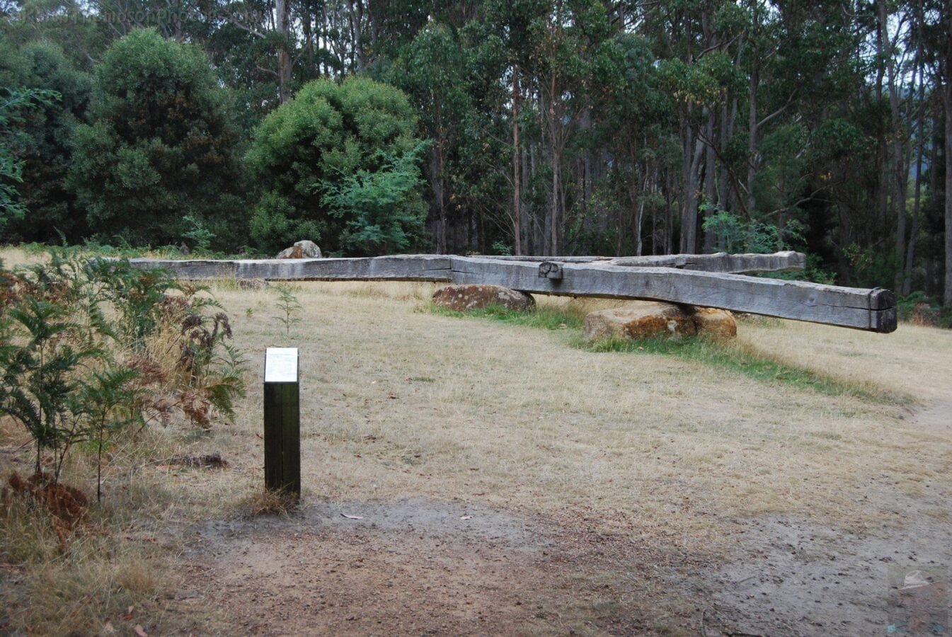 Alum Cliffs Reserve.002 10h19m20s2019 03 03