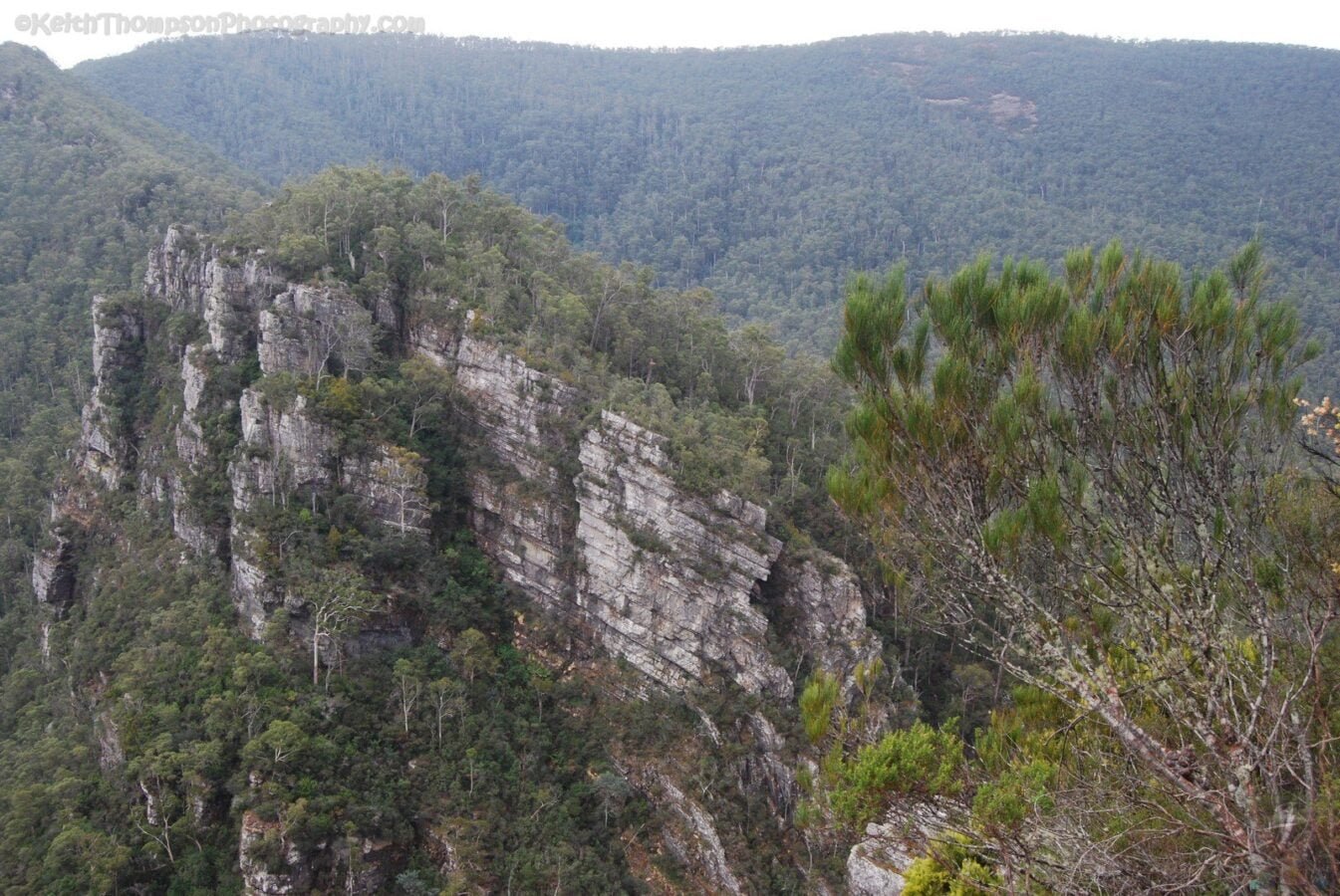 Alum Cliffs Reserve.015 10h35m13s2019 03 03