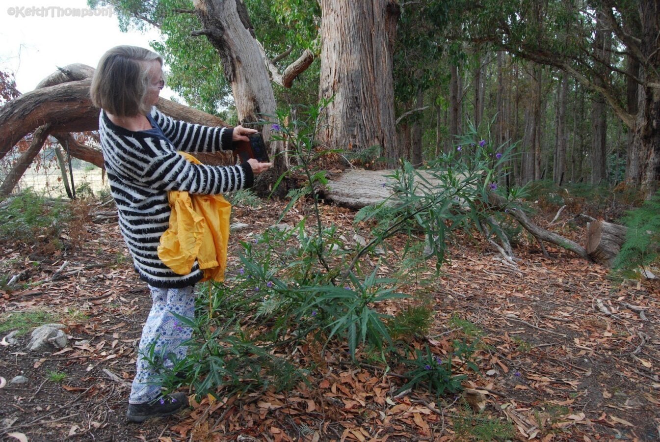 Alum Cliffs Reserve.022 10h49m33s2019 03 03