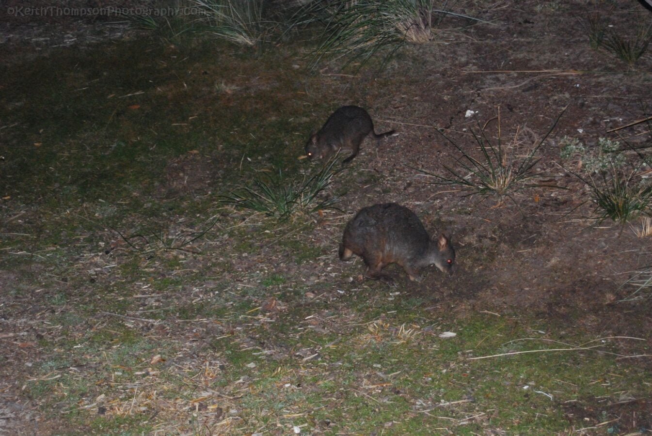 Black River Campground.014 21h48m04s2019 03 17